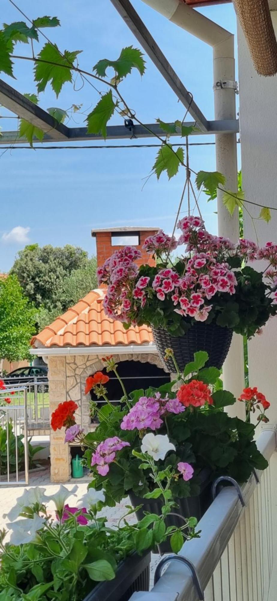 Apartments Strkalj Bibinje Bagian luar foto